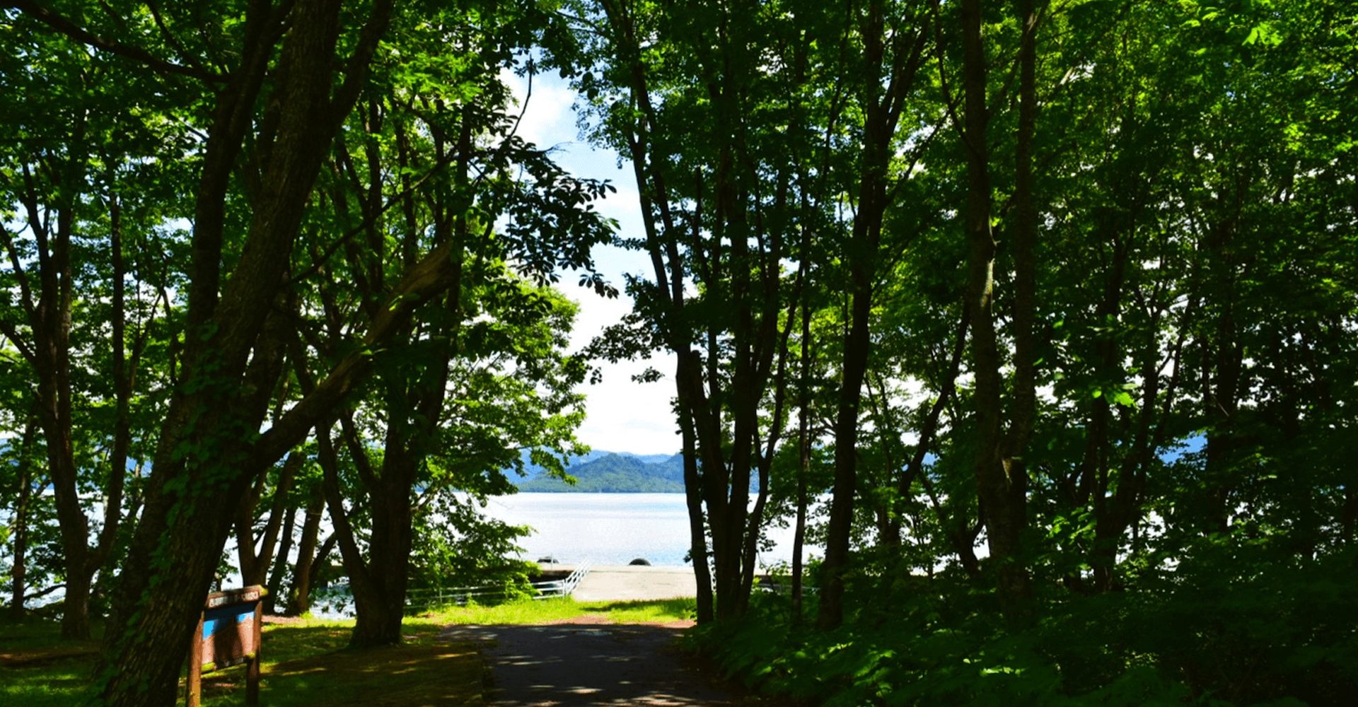 十和田湖西湖畔桟橋前の木々の写真