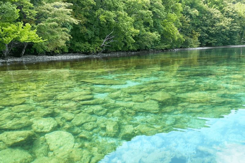 十和田湖西湖畔の湖面の写真