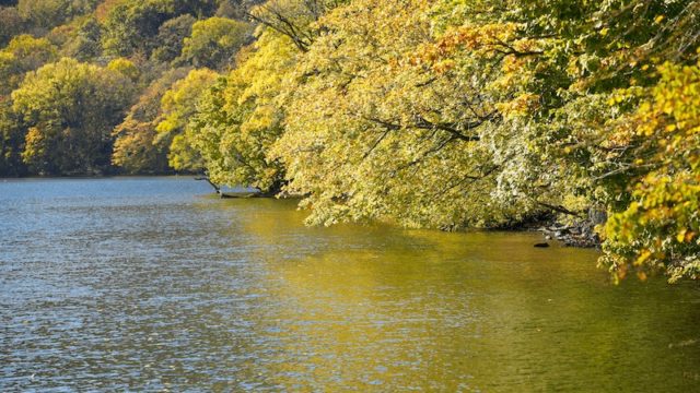 十和田湖西湖畔と紅葉の写真